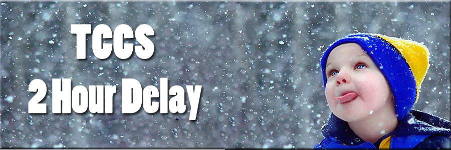 flexible learning day